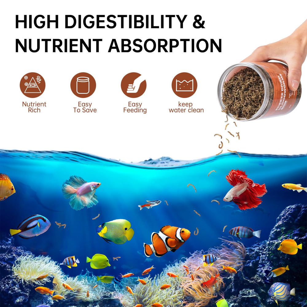 Yizeril storage jar shows easy storage and freshness