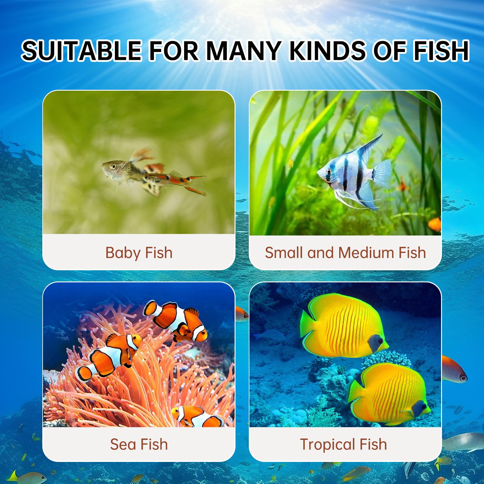 Yizeril bloodworms offered to various fish in a vibrant aquarium