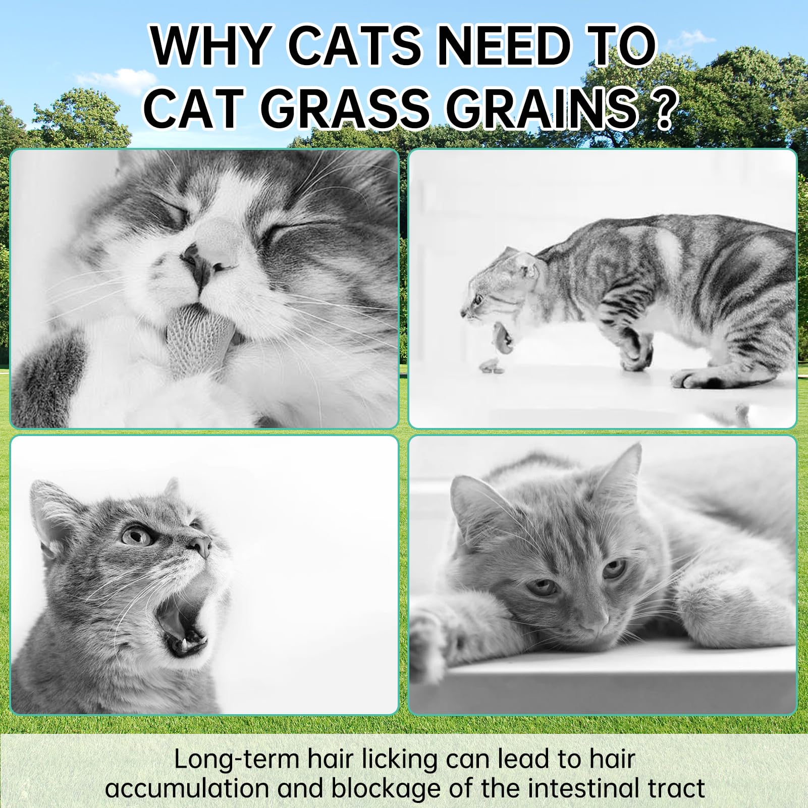 Yizeril hairball control cat grass snacks with natural fibers.