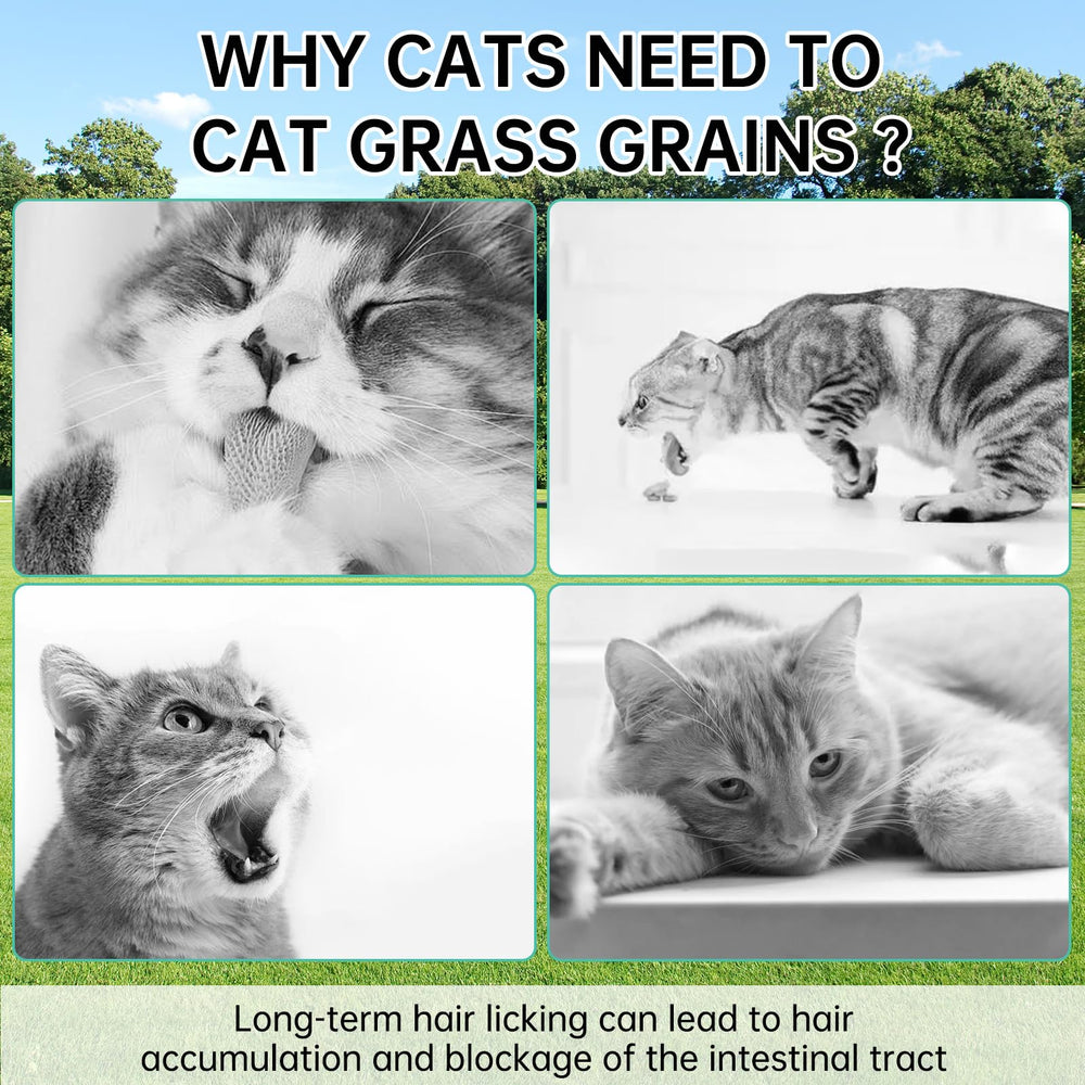 Yizeril hairball control cat grass snacks with natural fibers.