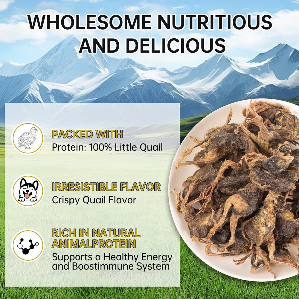 Yizeril quail treats close-up reveal a crisp texture for rewarding bites.