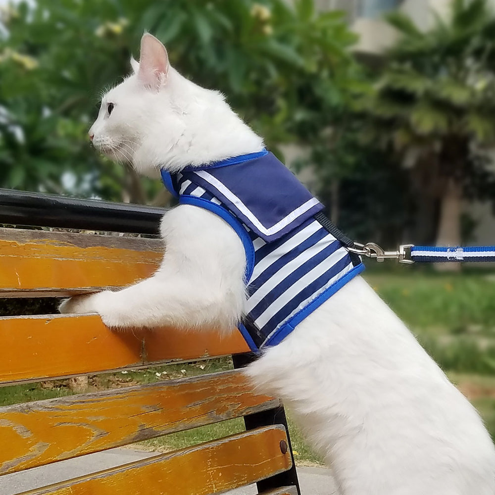 Yizhi Miaow adjustable cat harness ensures a proper fit for growing cats.