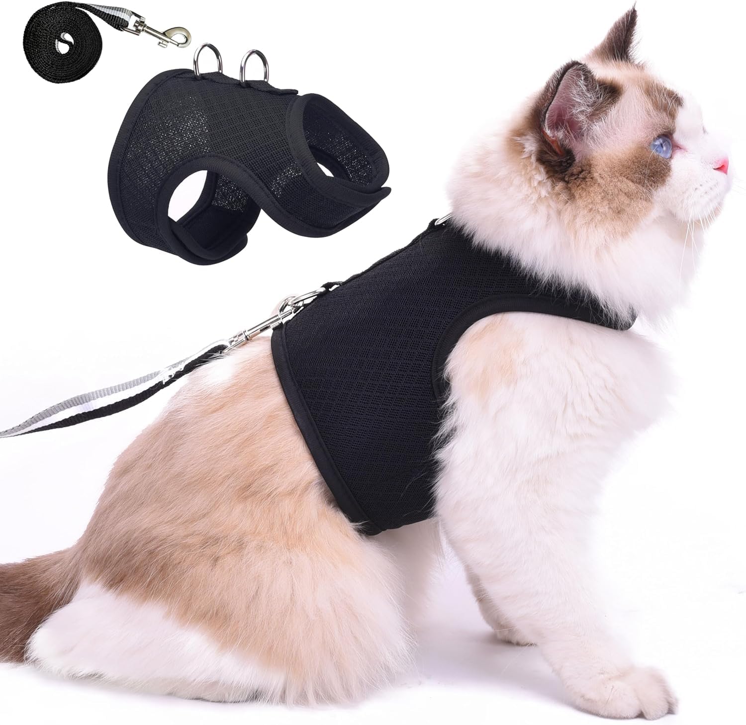 YIZHI MIAOW cat harness on black cat with breathable mesh for comfort