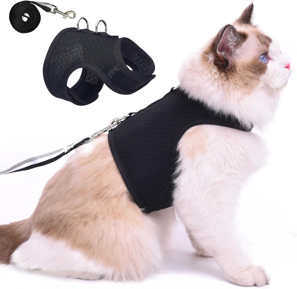 YIZHI MIAOW cat harness on black cat with breathable mesh for comfort