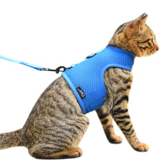 YIZHI MIAOW cat harness in blue with breathable mesh for comfortable outdoor walks