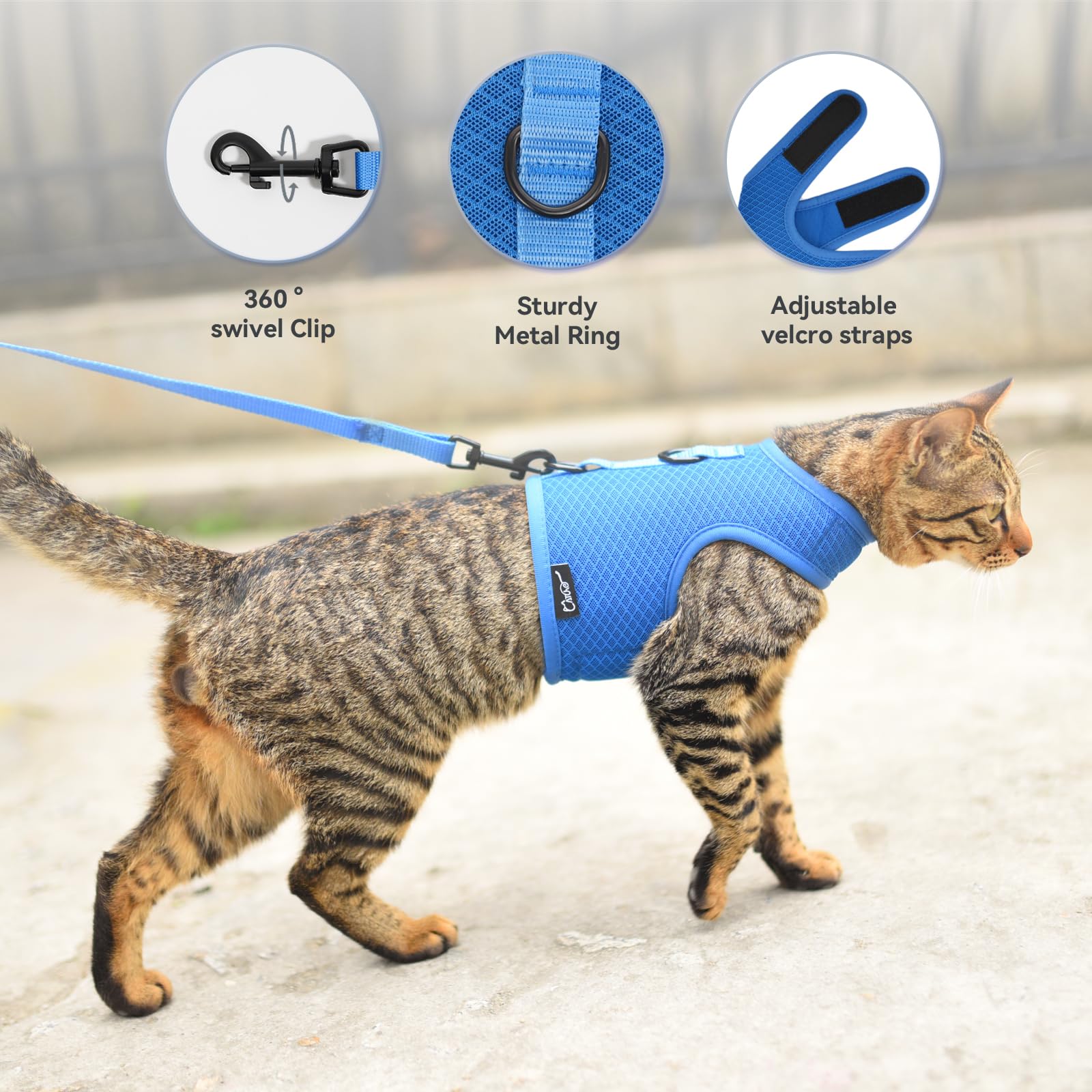 YIZHI MIAOW escape-proof closure supports safe, calm outdoor exploration
