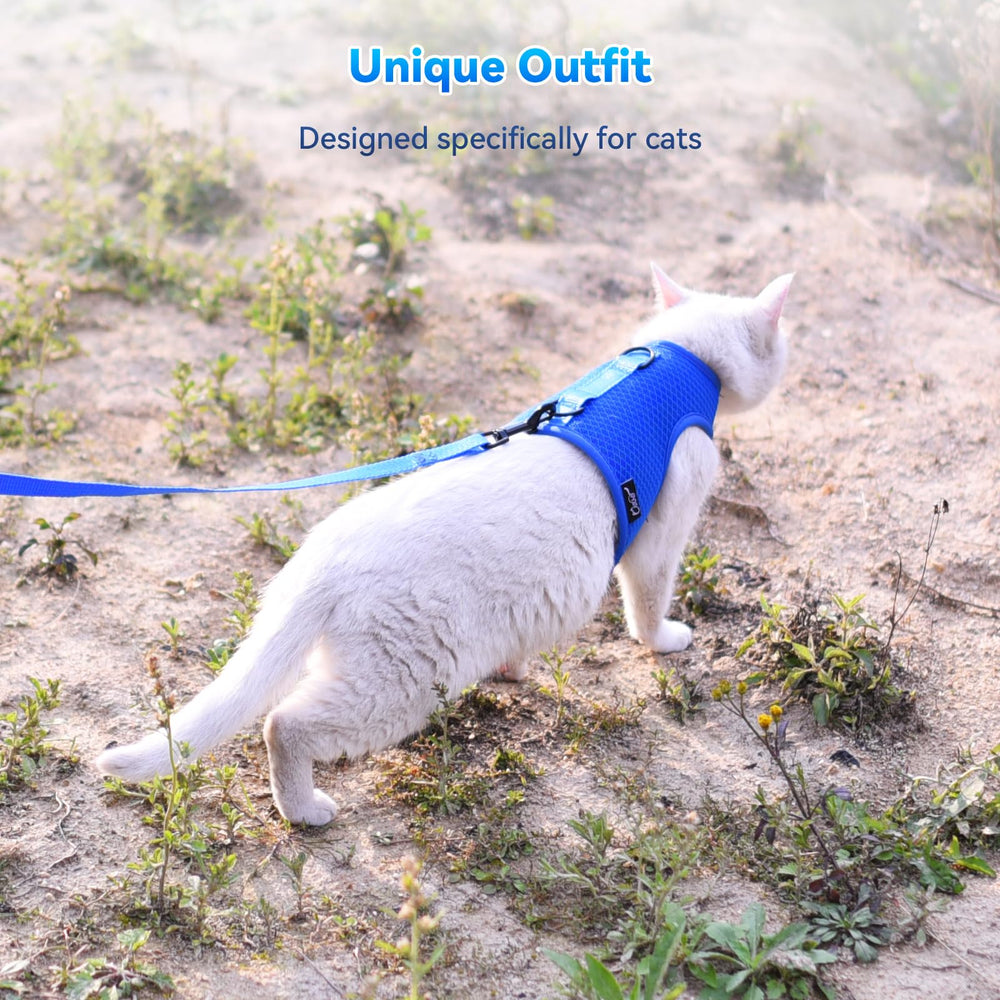 YIZHI MIAOW packaging includes harness leash and training guideline