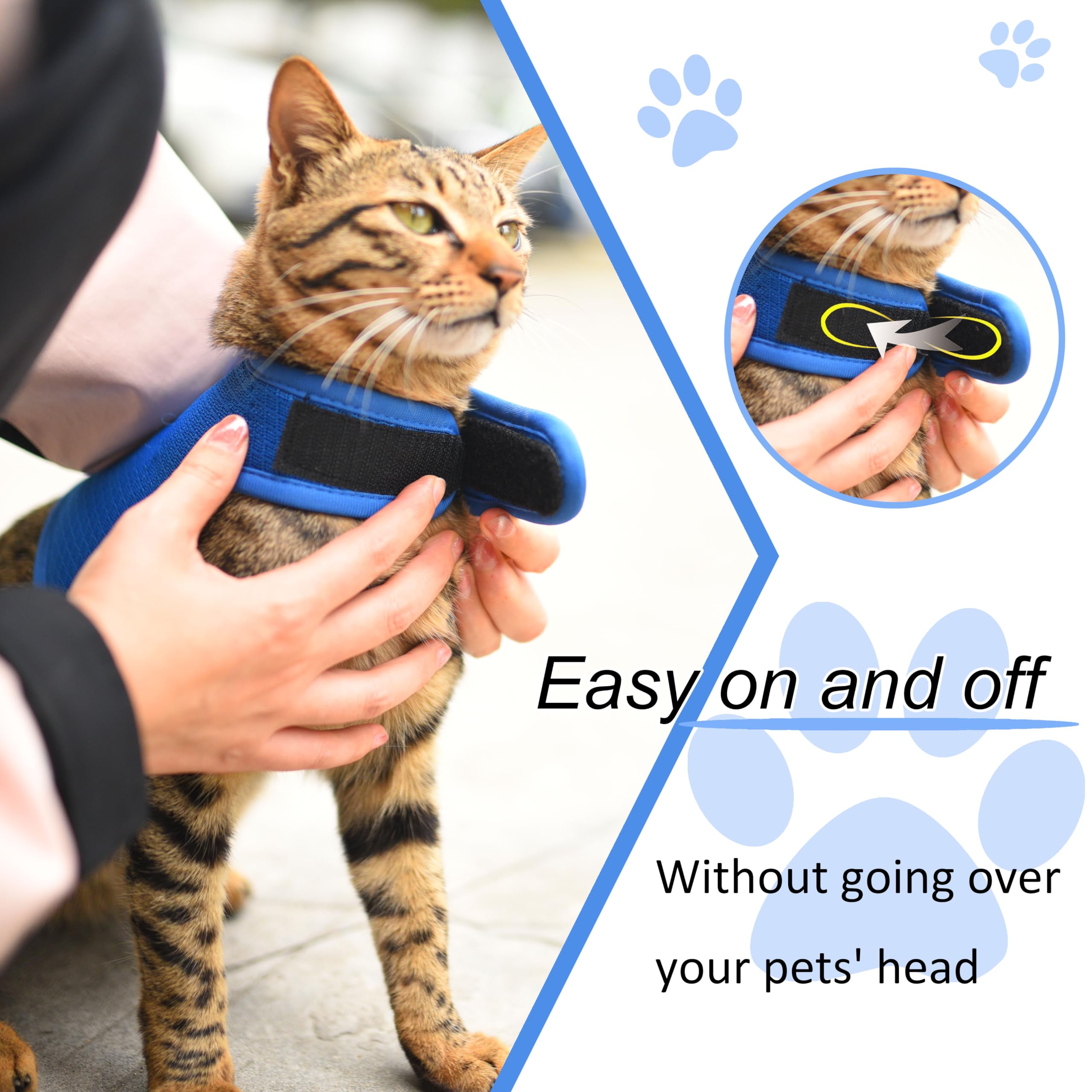 YIZHI MIAOW training guide with videos helps leash training at home
