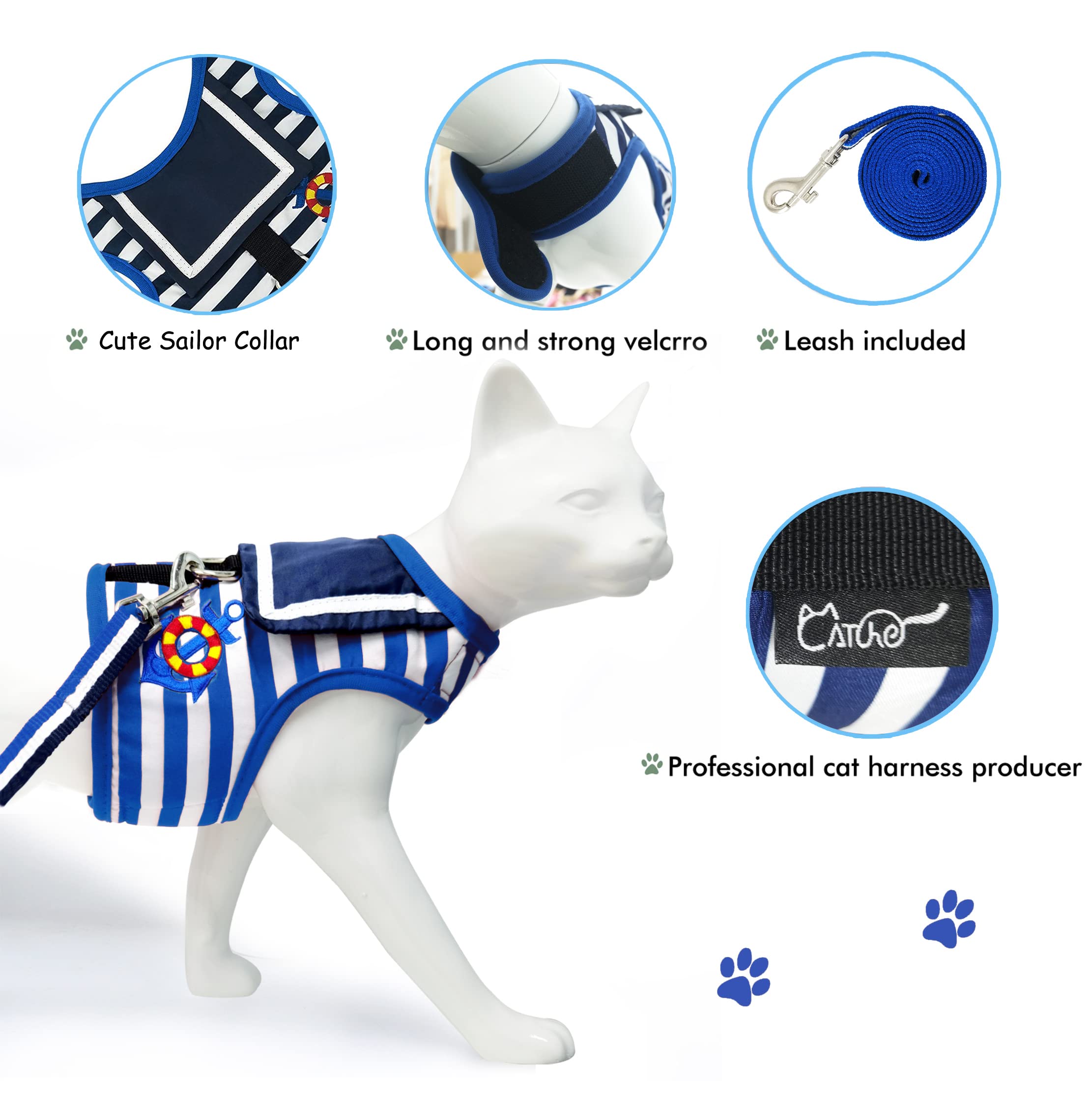 Yizhi Miaow training guidelines video helps leash handling progress.