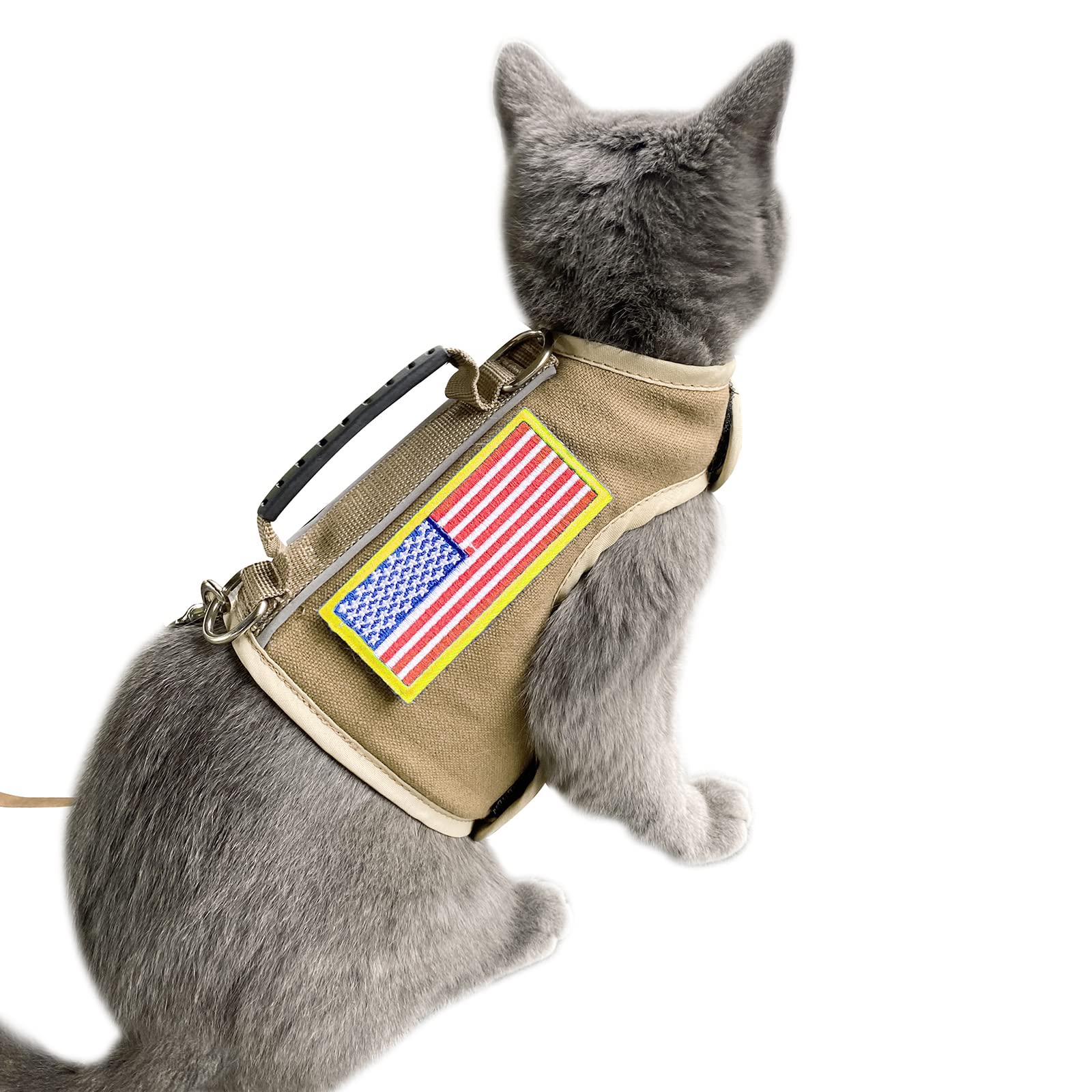 YIZHI MIAOW training instruction videos aid cat leash practice.