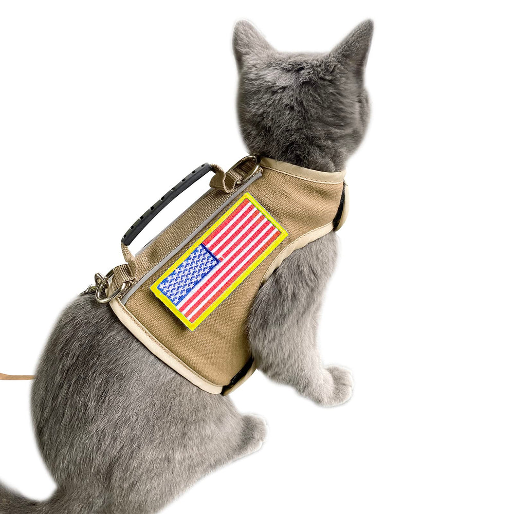 YIZHI MIAOW training instruction videos aid cat leash practice.