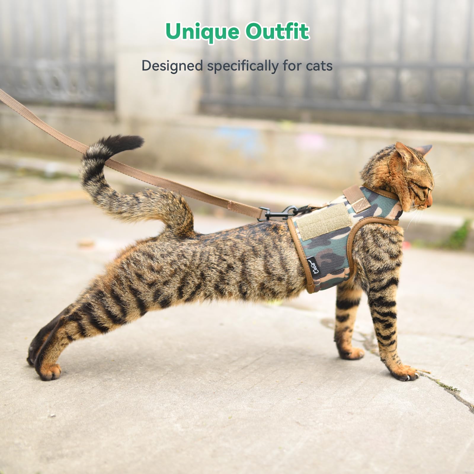 YIZHI MIAOW training leash included for easy indoor-to-outdoor transitions.