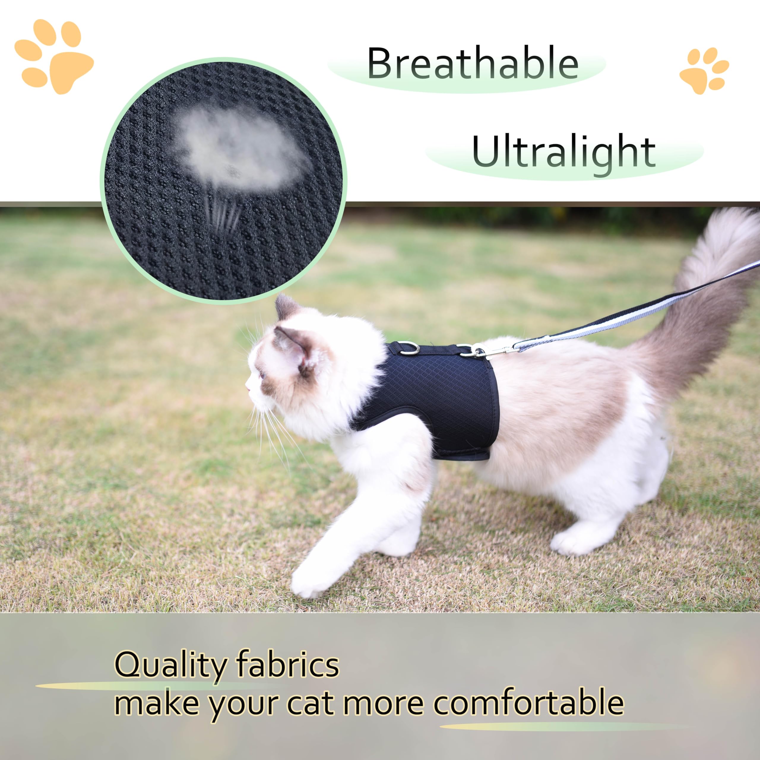 YIZHI MIAOW package includes harness, leash, and training videos
