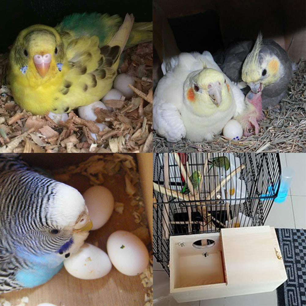 XL size option of YJJKJ nest box for larger small birds