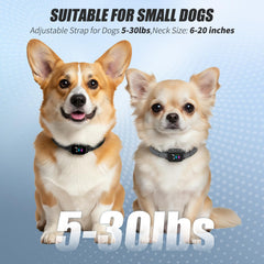 YJWFHPU bark collar with beep and vibration for humane training without shocks.