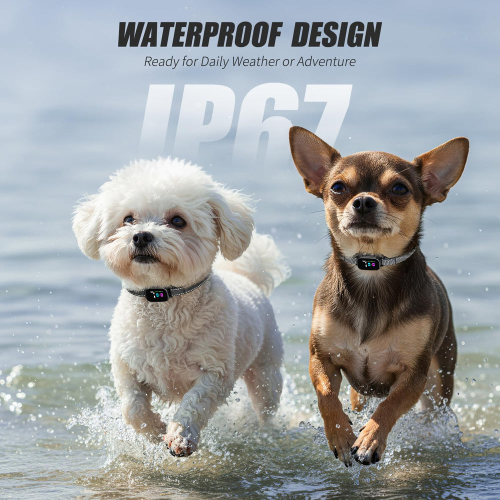 YJWFHPU rechargeable IP67 waterproof collar ready for rain or splashy play.