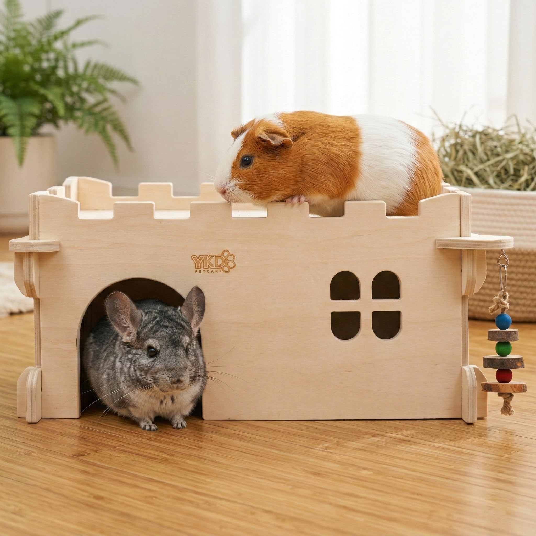 YKD Castle Chinchilla House rooftop area for enrichment and snacks