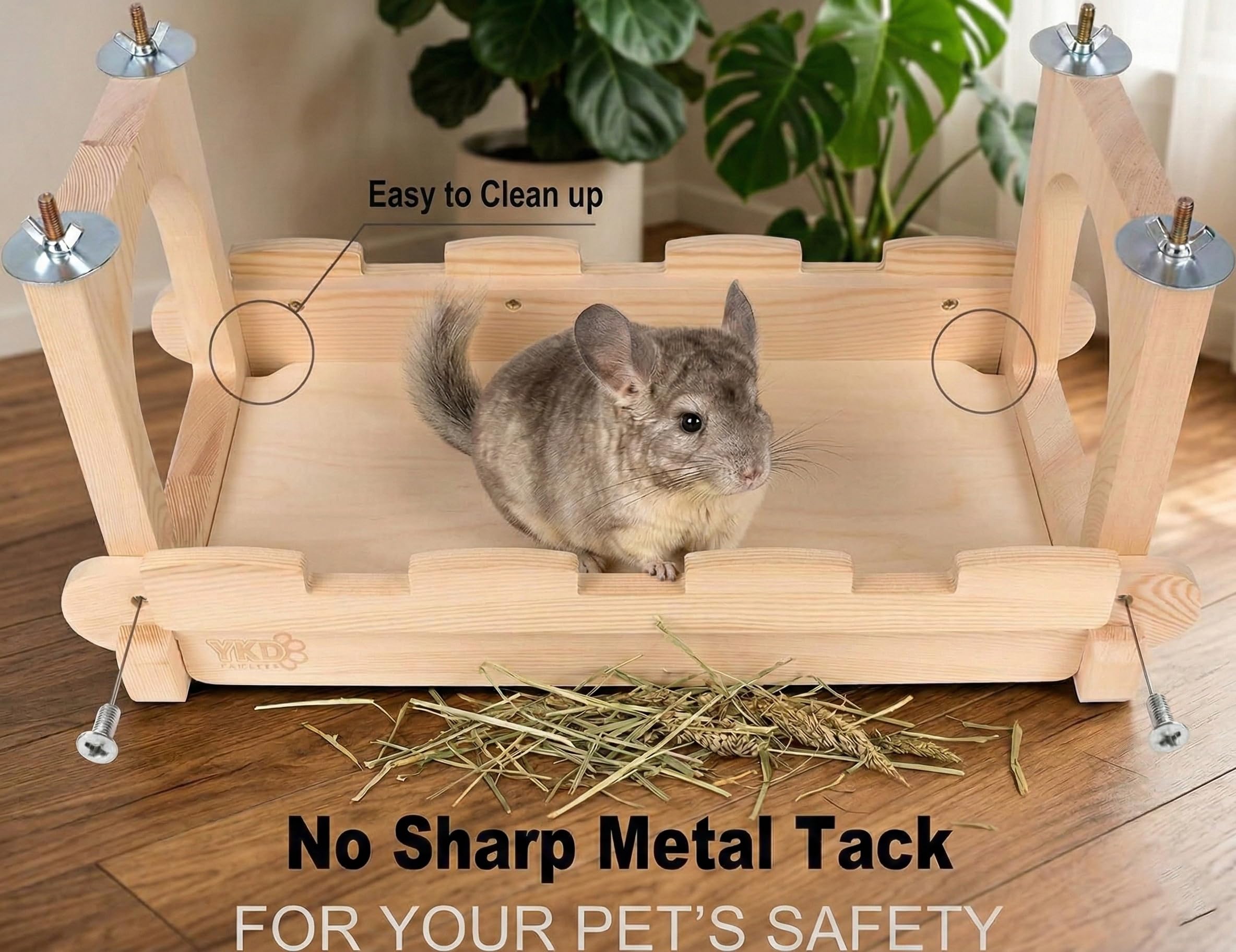 YKD chinchilla and sugar gliders using bridge to climb and explore