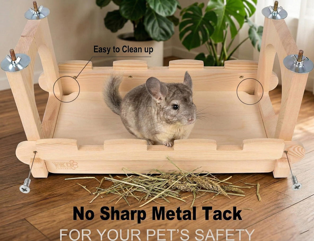 YKD chinchilla and sugar gliders using bridge to climb and explore
