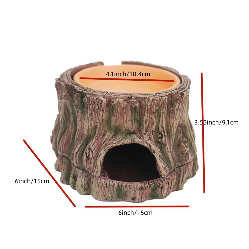YLSMILE gecko hideout shows textured tree trunk and safe hide entrance