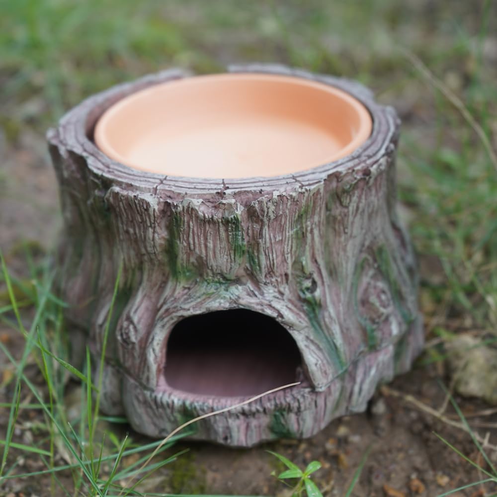 YLSMILE multi species ready hideout suitable for crested geckos, lizards, snakes, and crabs