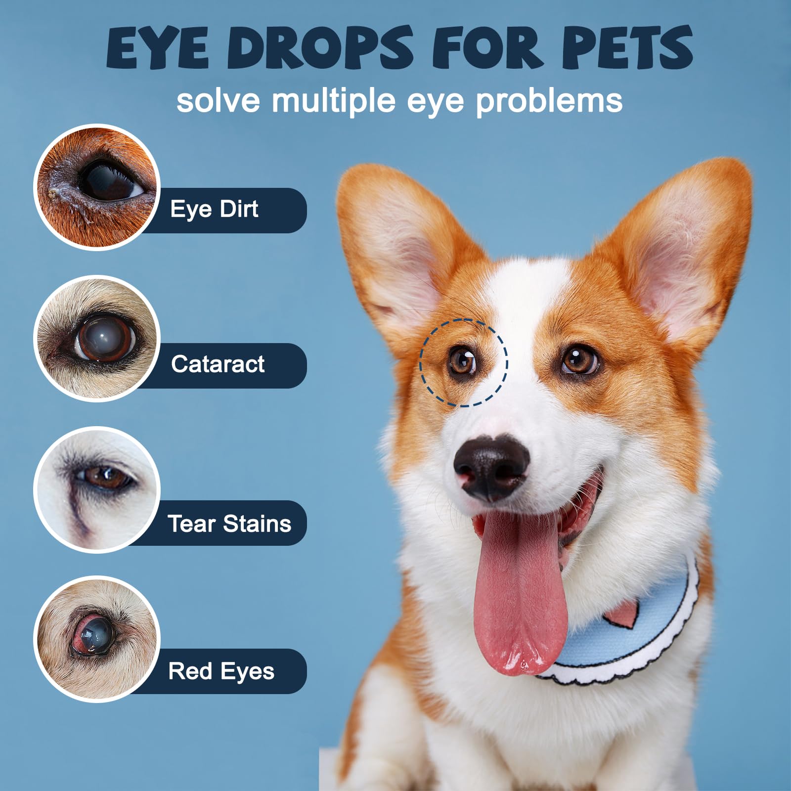 Yocisku drops applied to a dog's eye for comfort