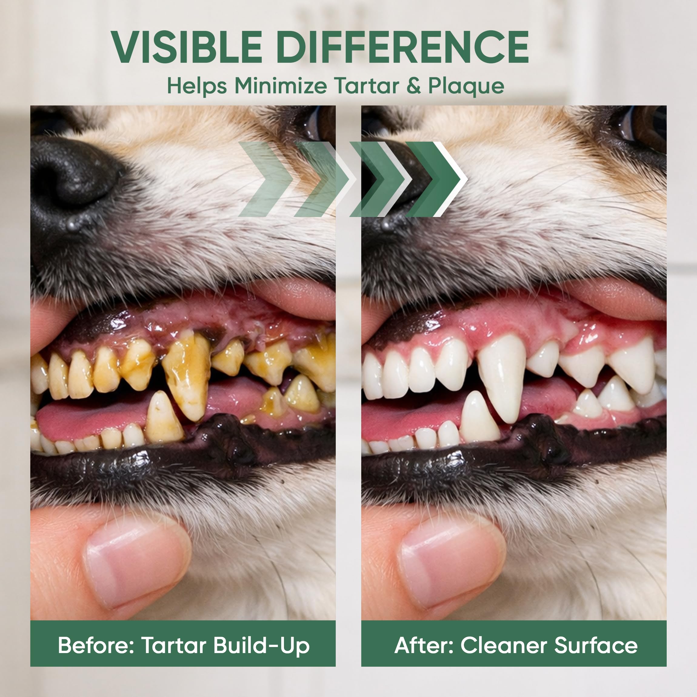 Packaging displays 100ml Milolabco canine oral care bottle.