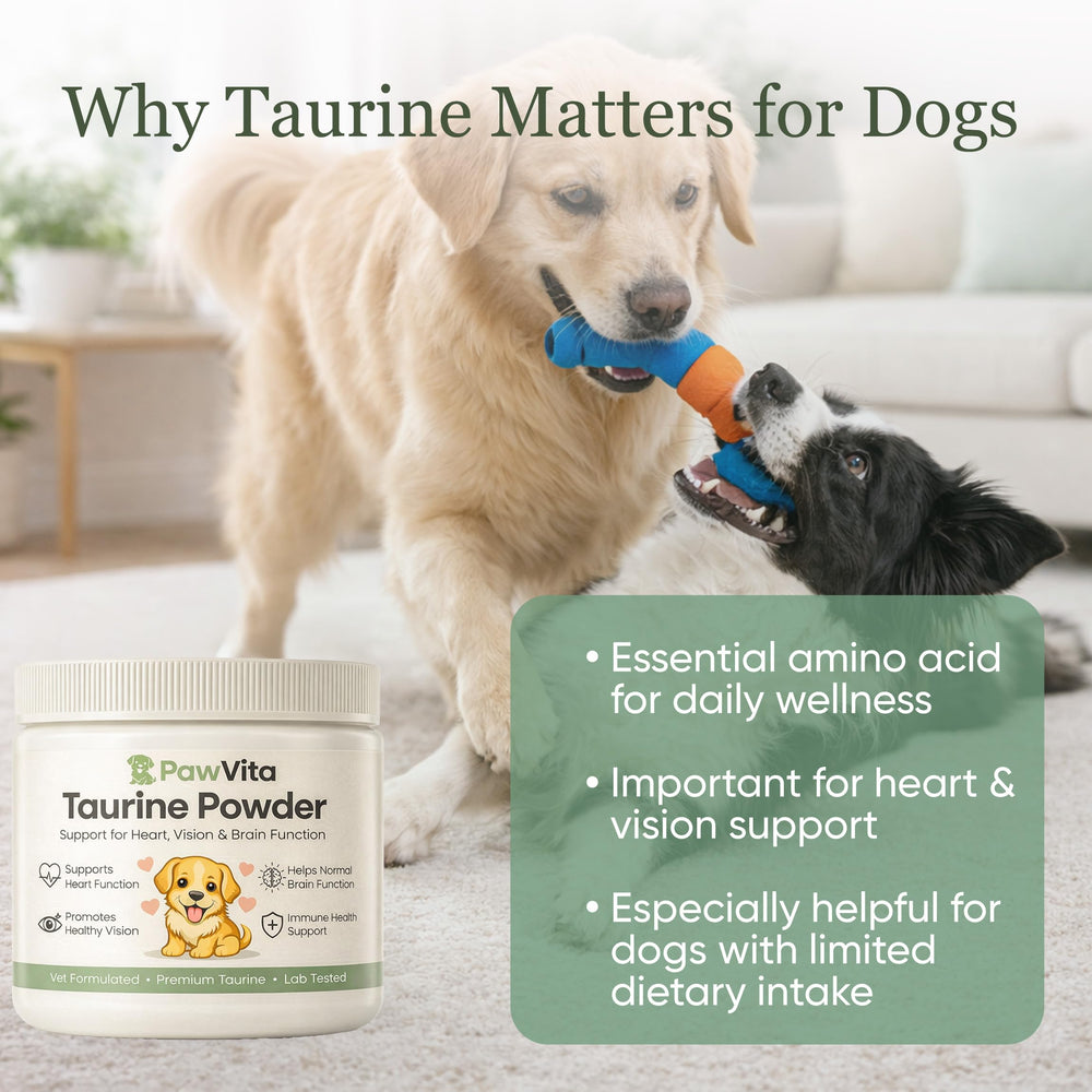 YOCMIPS Pawvita taurine powder mixed into dog meals for easy prep.