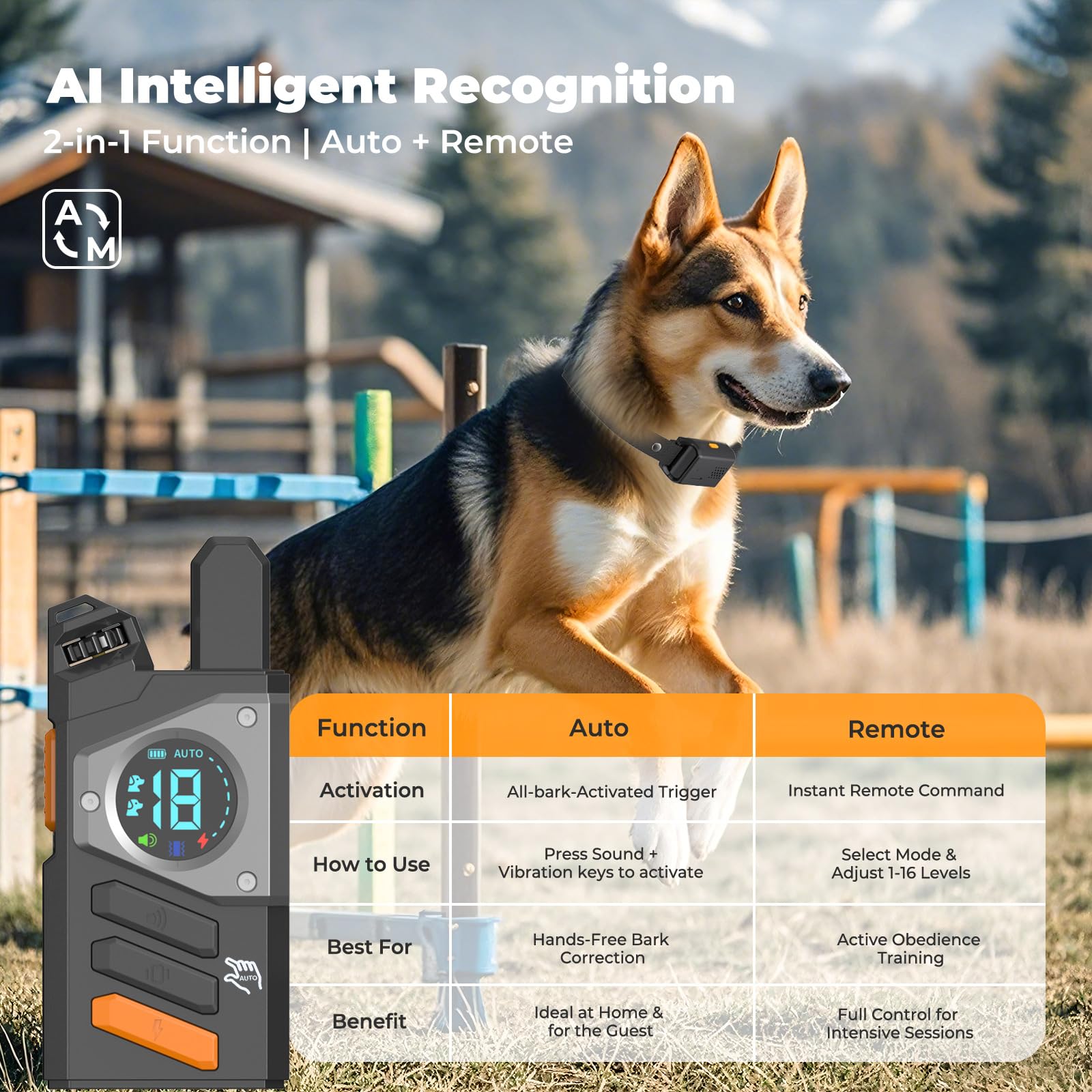 YOGAL three training modes for indoor outdoor sessions