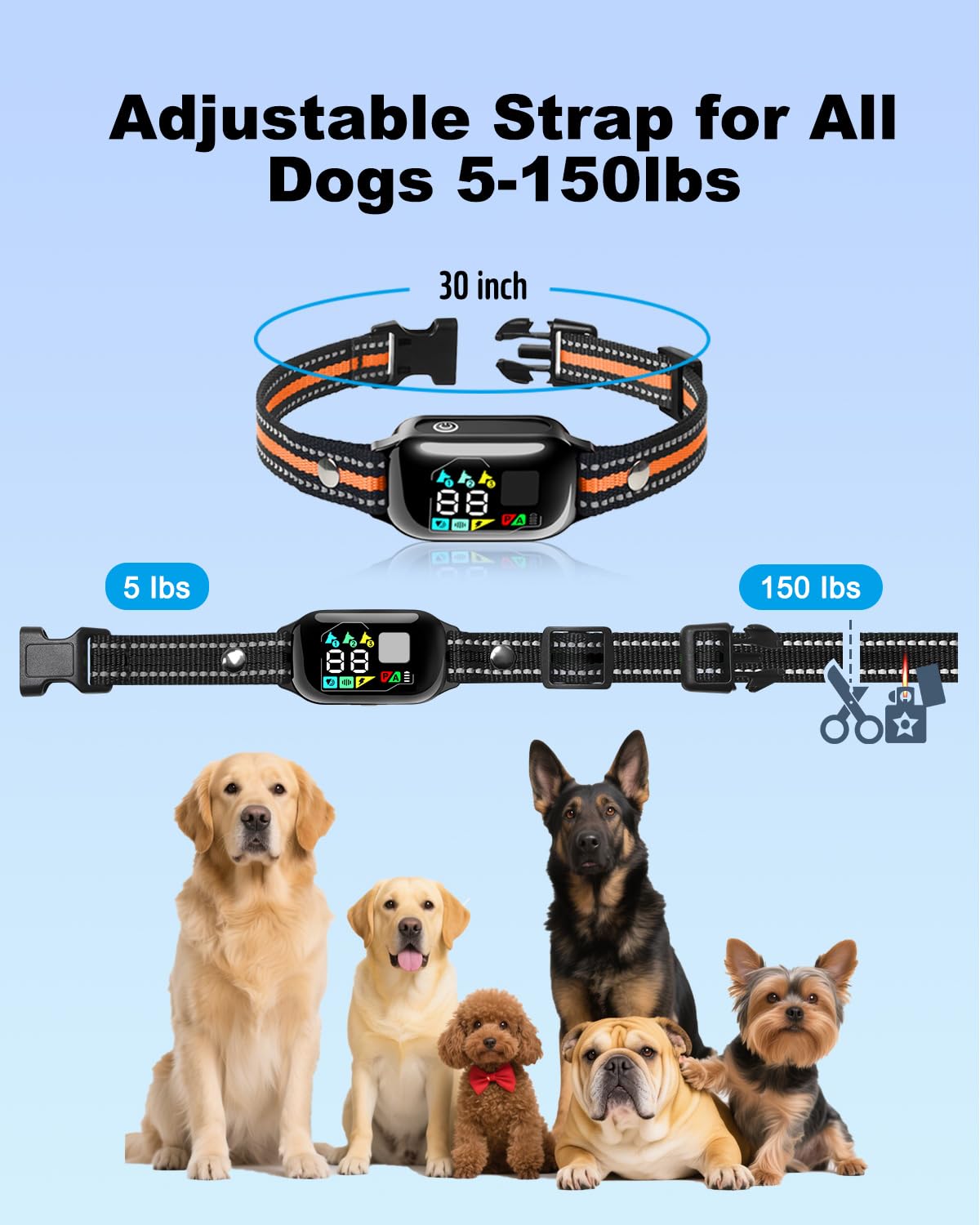 YOGAL IPX7 waterproof collar ready for all-weather use.