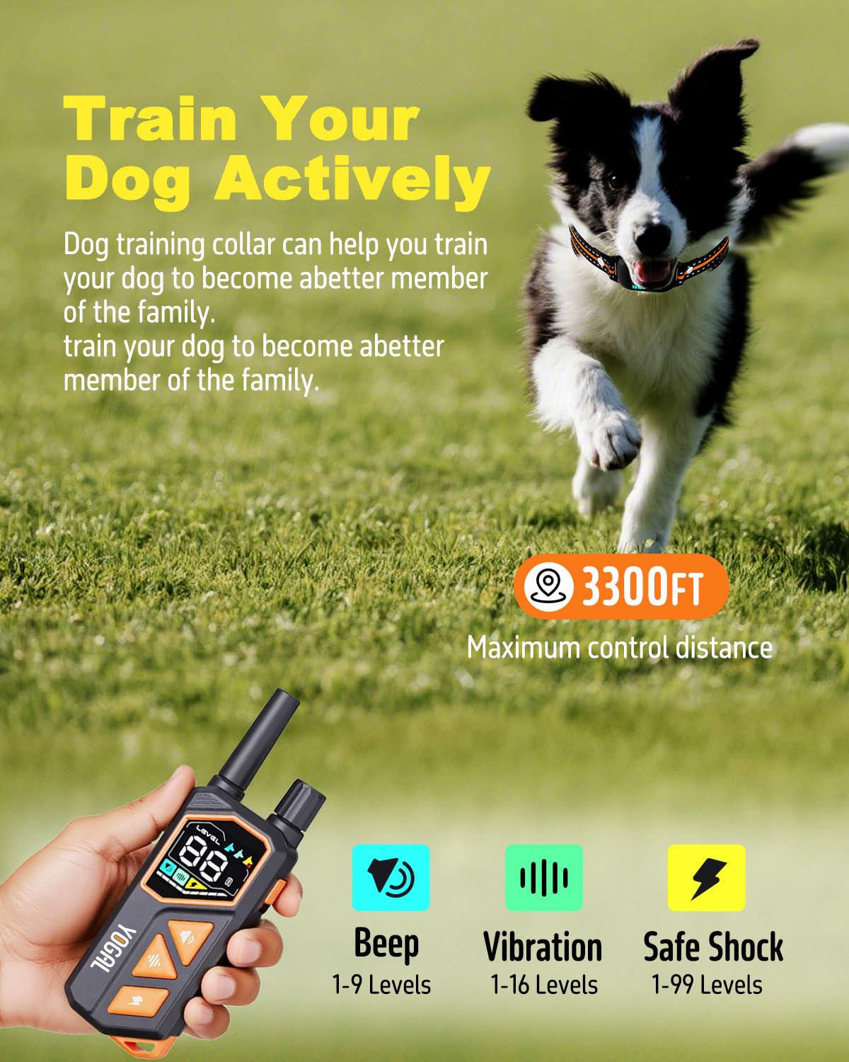 YOGAL night training light helps locate your dog during evening sessions.