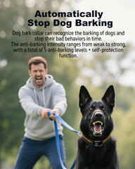 YOGAL remote with beep, vibration, and safe shock training options.