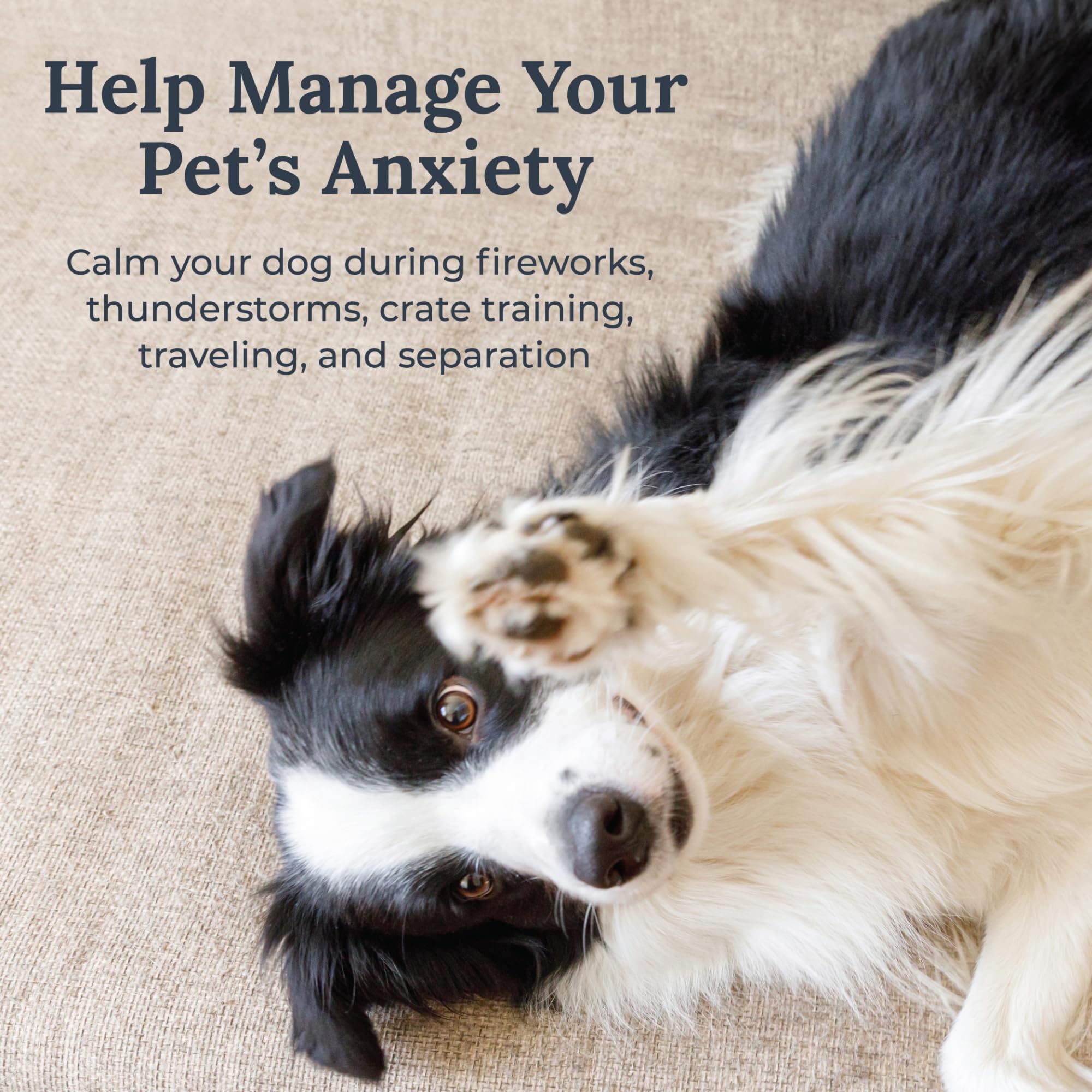 Yogasleep Pawzz volume-timer controls tailor playback length for quiet evenings.