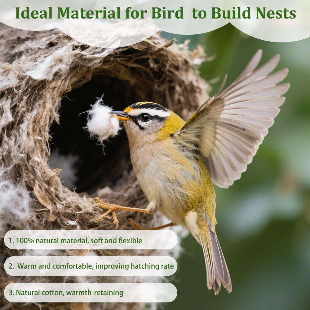 Yomishine gift-worthy setup encourages family birdwatching moments.
