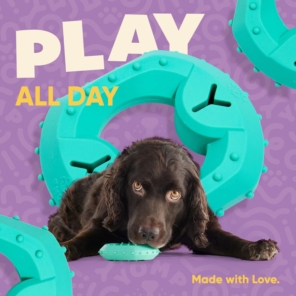 Yomp ChillChew cooling play promotes simple, engaging sessions for dogs.