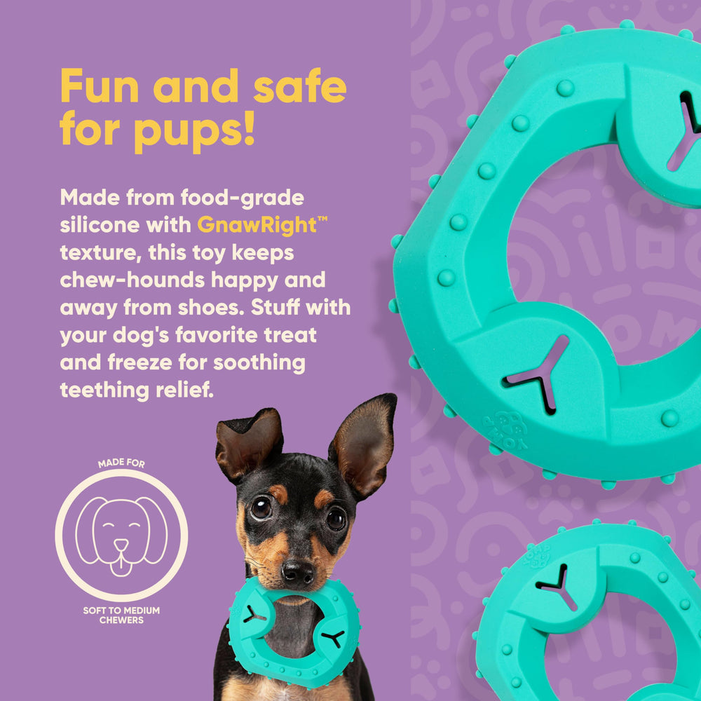 Yomp ChillChew stuffed with peanut butter for interactive treat time.