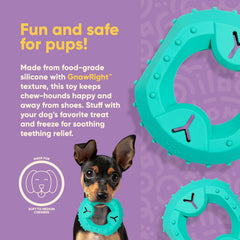 Yomp ChillChew stuffed with peanut butter for interactive treat time.
