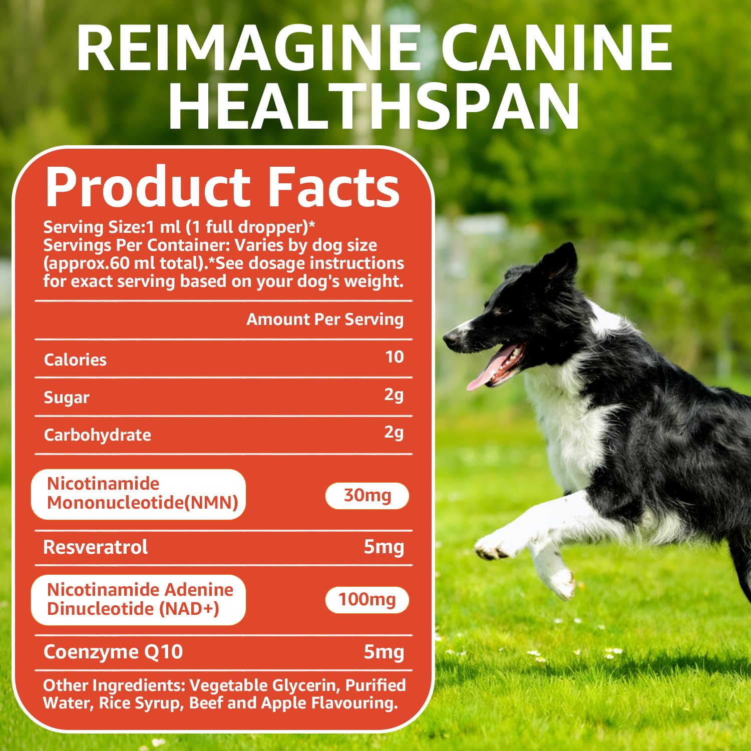 YOMXEN dog joint health bottle suggests mobility support