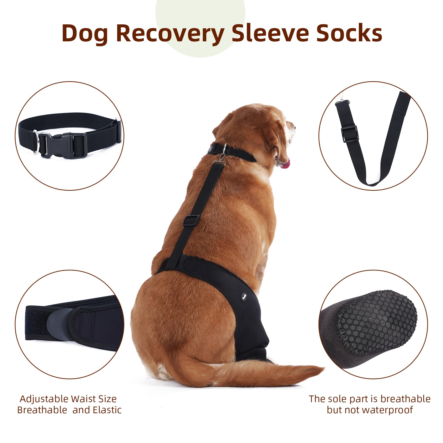 Yoneba anti-slip dog socks help prevent slips on slick floors