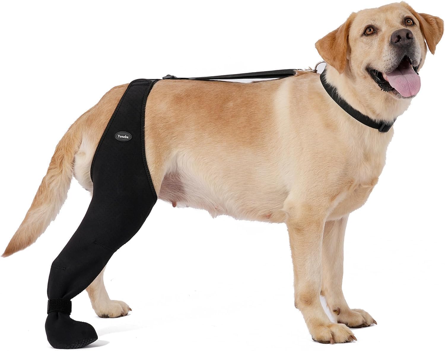 Yoneba dog socks breathable paw cover close-up for dry paws and comfort