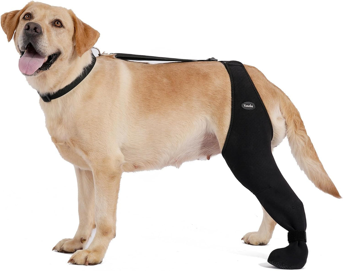 Yoneba dog socks prevent paw licking for calm, comfortable paws.