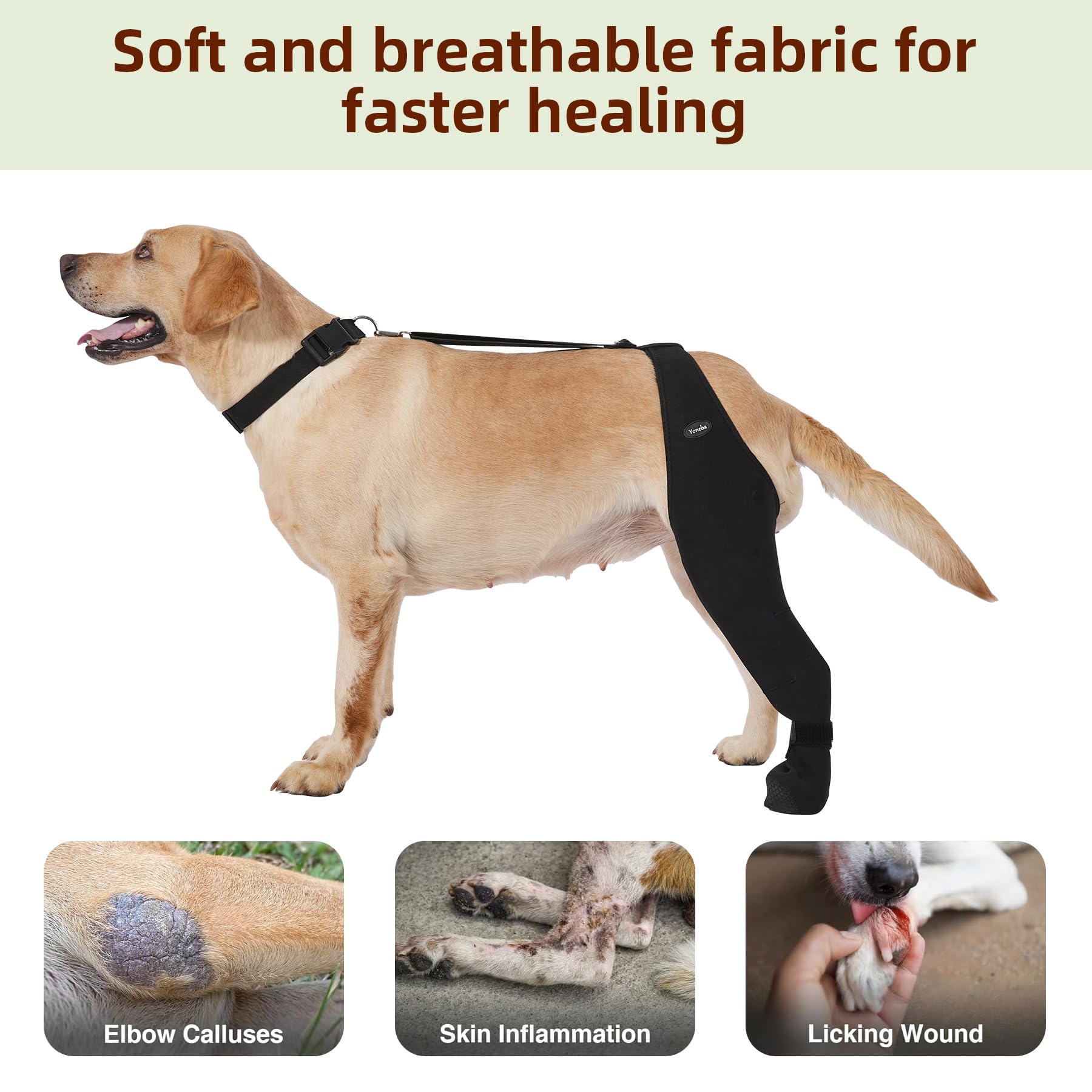 Yoneba multiple sizes ensures snug fit for many breeds