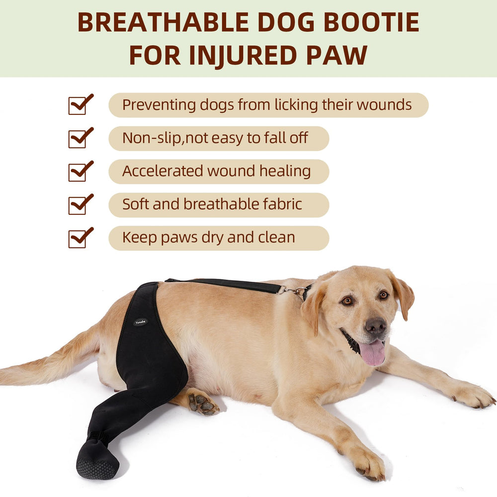 Yoneba secure-fit paw sleeve on a dog for reliable wear