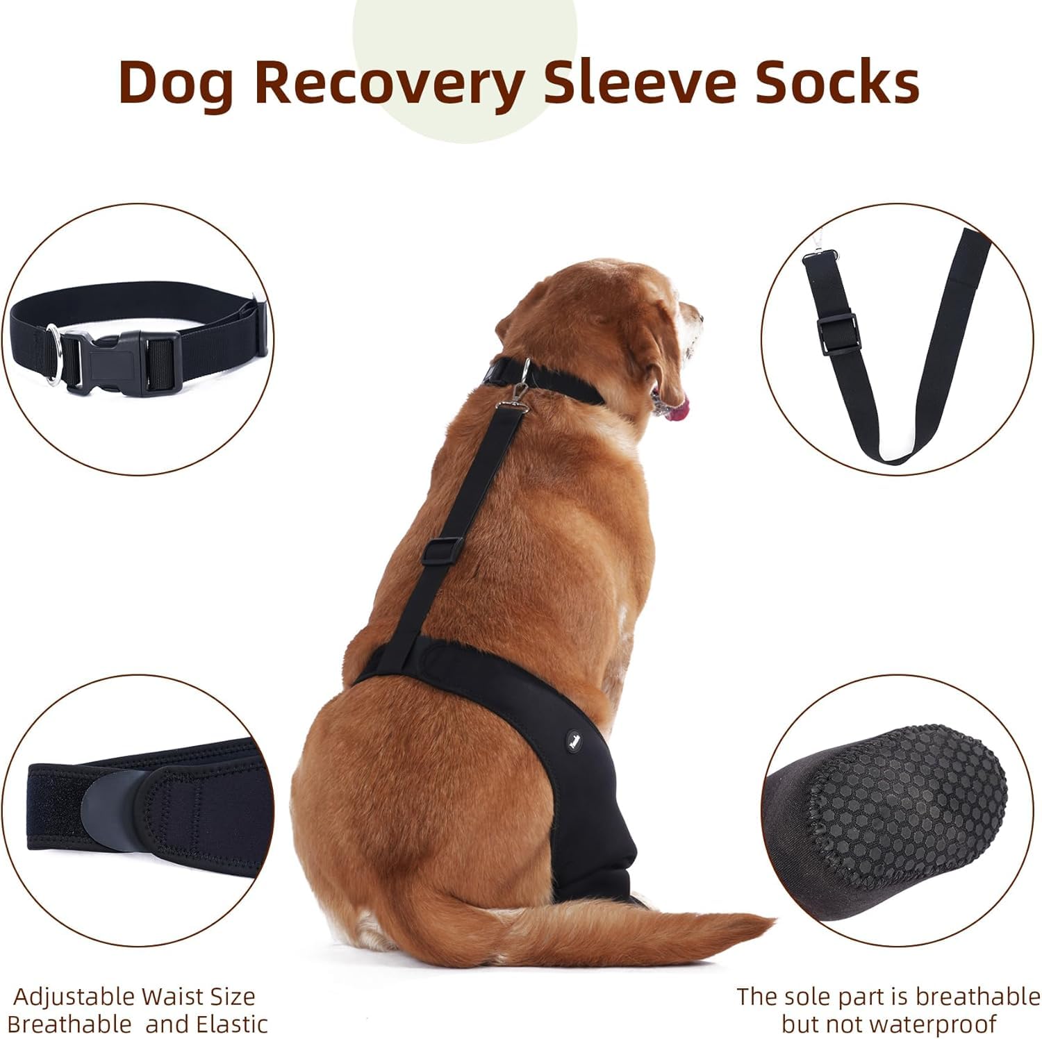 Yoneba secure-fit paw sleeve stays on without chewing or slipping.