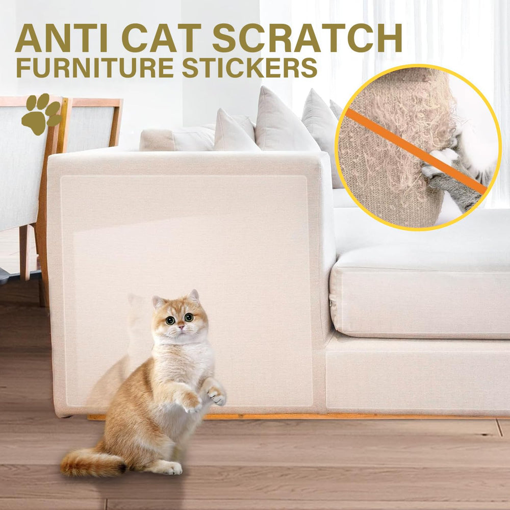 Yongjoy promotes using designated scratching areas to protect furniture.