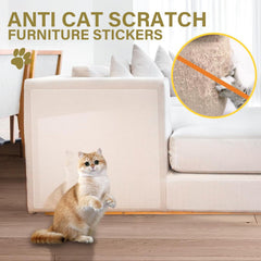 Yongjoy promotes using designated scratching areas to protect furniture.