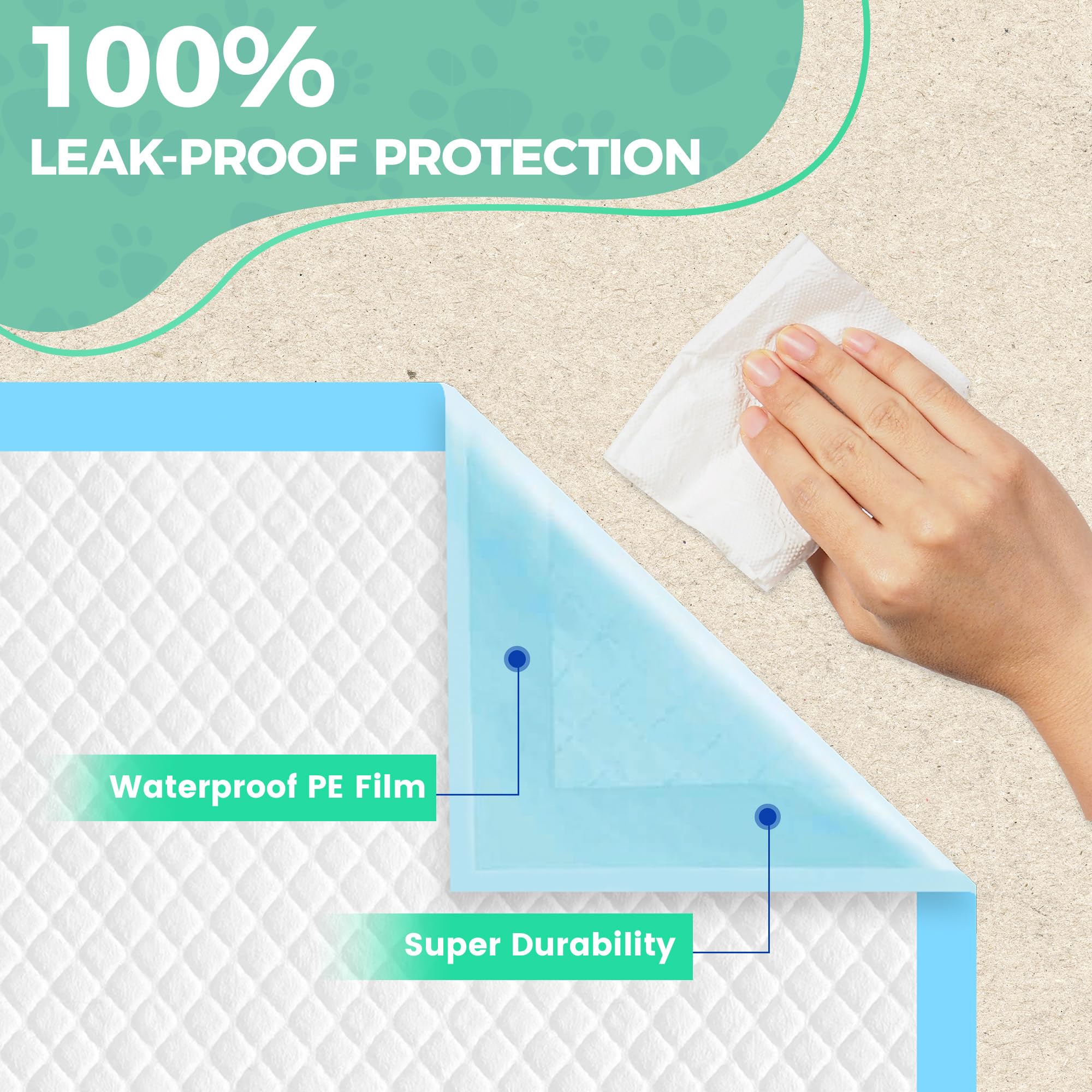 YOPETKI quick-dry SAP layer supports mess-free potty sessions.