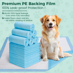 YOPETKI 100-pack offers long-term value for daily use and training.
