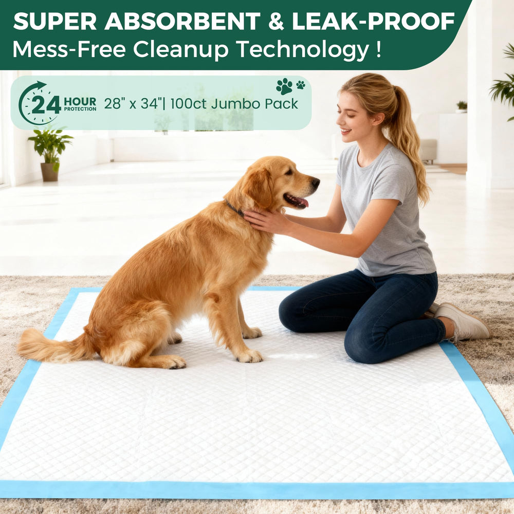 YOPETKI indoor-use pad setup for crates, travel, and home use.