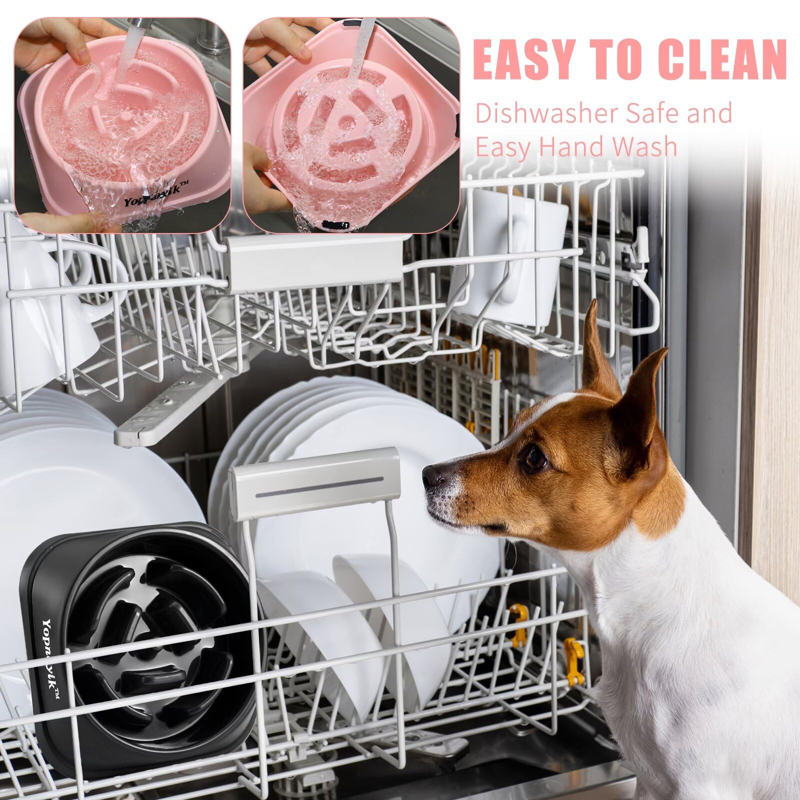 Yopnoyik easy-clean bowl simplifies post-meal cleanup.